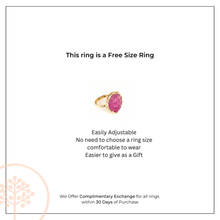 Serenity Orchid - Cherry Blossom