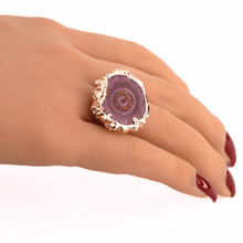 Serenity Orchid - Cherry Blossom