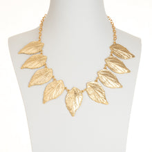 Sour Cherry Gold - Cherry Blossom