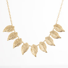 Sour Cherry Gold - Cherry Blossom