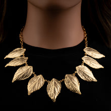 Sour Cherry Gold - Cherry Blossom