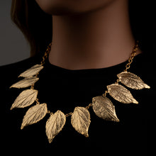 Sour Cherry Gold - Cherry Blossom